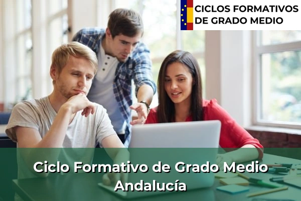 Ciclos Formativos Medios en Andalucía