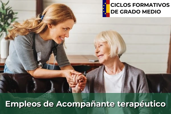Empleo de Acompañante terapéutico