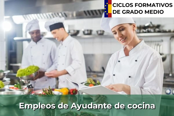 Empleo de Ayudante de cocina