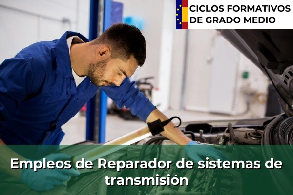 Empleo de Mecánico de vehículos industriales 274 Empleo de Reparador de sistemas de transmisión