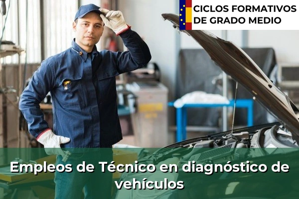 Empleo de Mecánico de vehículos industriales 276 Empleo de Técnico en diagnóstico de vehículos