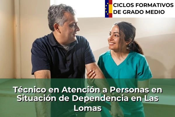 Técnico en Atención a Personas en Situación de Dependencia en Las Lomas