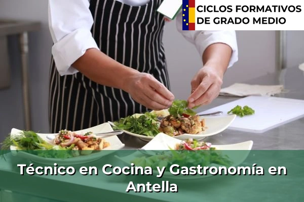 Técnico en Cocina y Gastronomía en Antella