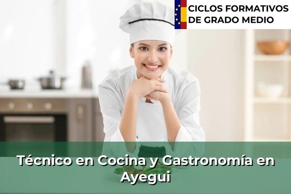 Técnico en Cocina y Gastronomía en Ayegui