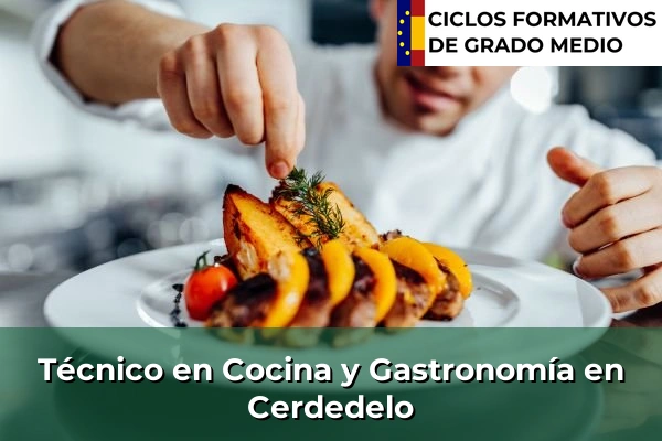 Técnico en Cocina y Gastronomía en Cerdedelo