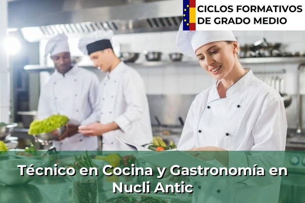 Técnico en Cocina y Gastronomía en Olot 164 Técnico en Cocina y Gastronomía en Nucli Antic