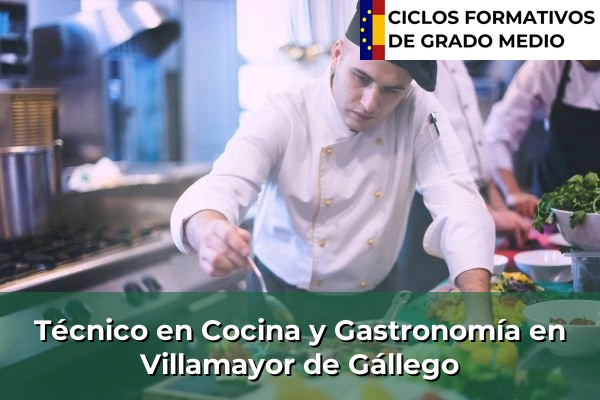 Técnico en Cocina y Gastronomía en San Andrés del Rabanedo 122 Técnico en Cocina y Gastronomía en Villamayor
