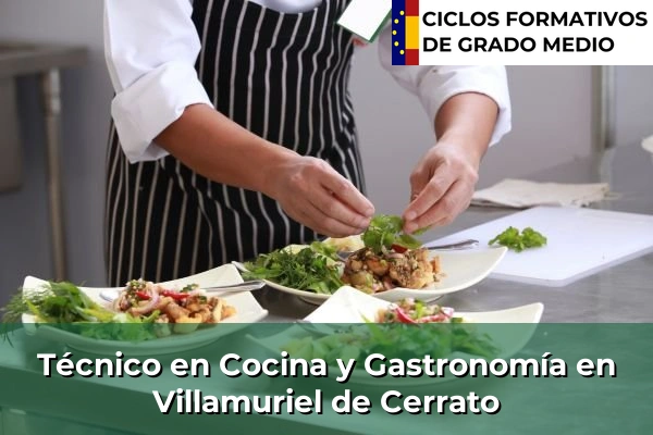 Técnico en Cocina y Gastronomía en San Andrés del Rabanedo 123 Técnico en Cocina y Gastronomía en Villamuriel de Cerrato