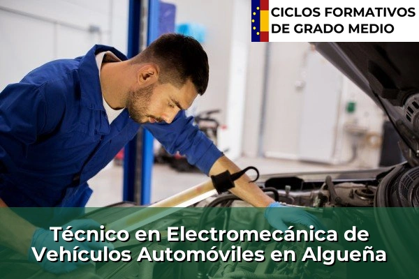 Técnico en Electromecánica de Vehículos Automóviles en Algueña