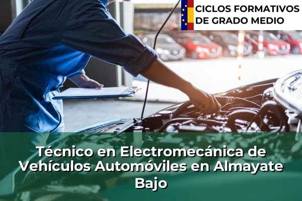 Técnico en Electromecánica de Vehículos Automóviles en Almayate Bajo
