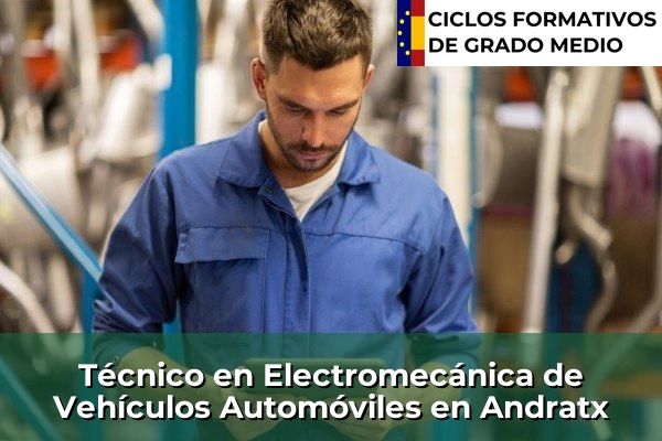Técnico en Electromecánica de Vehículos Automóviles en Islas Baleares 5 Técnico en Electromecánica de Vehículos Automóviles en Andratx