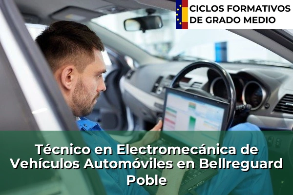 Técnico en Electromecánica de Vehículos Automóviles en Bellreguard Poble