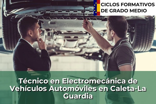 Técnico en Electromecánica de Vehículos Automóviles en Caleta-La Guardia