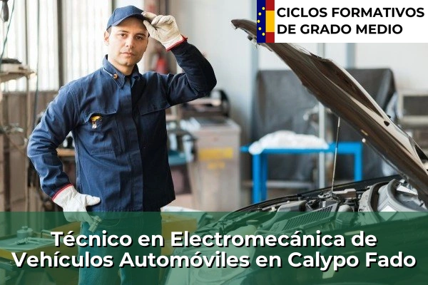 Técnico en Electromecánica de Vehículos Automóviles en Calypo Fado