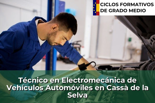 Técnico en Electromecánica de Vehículos Automóviles en La Palma de Cervelló 81 Técnico en Electromecánica de Vehículos Automóviles en Cassà de la Selva