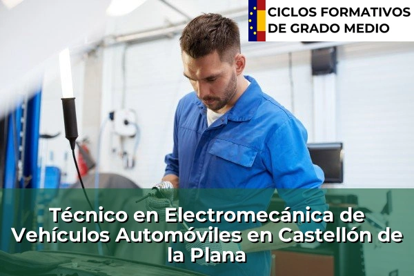 Técnico en Electromecánica de Vehículos Automóviles en Castellón de la Plana