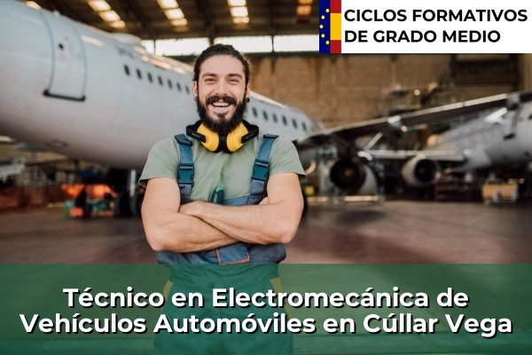 Técnico en Electromecánica de Vehículos Automóviles en Cúllar Vega