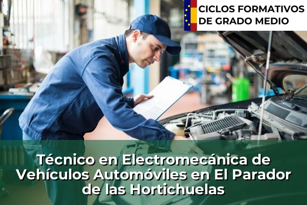 Técnico en Electromecánica de Vehículos Automóviles en El Parador de las Hortichuelas