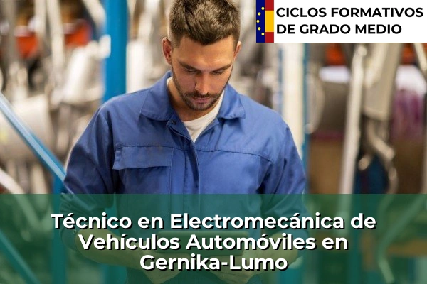 Técnico en Electromecánica de Vehículos Automóviles en Gernika-Lumo