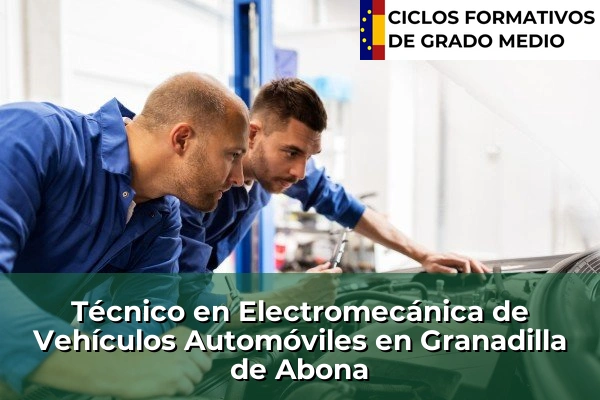 Técnico en Electromecánica de Vehículos Automóviles en Granadilla de Abona