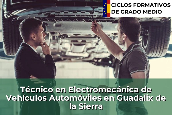 Técnico en Electromecánica de Vehículos Automóviles en Guadalix de la Sierra