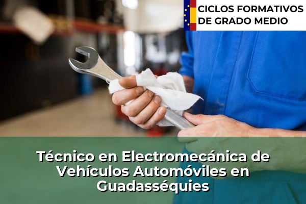 Técnico en Electromecánica de Vehículos Automóviles en Guadasséquies