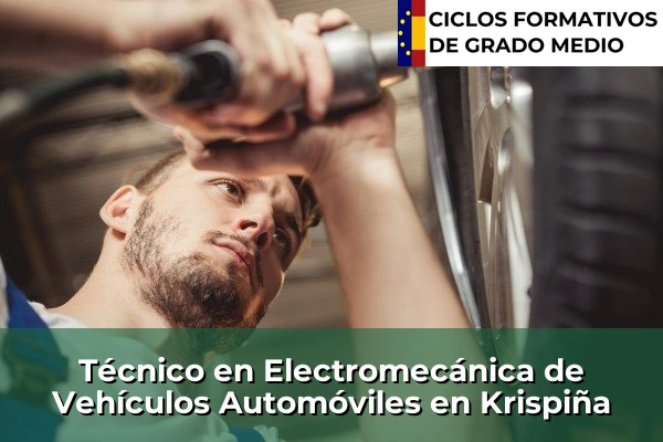 Técnico en Electromecánica de Vehículos Automóviles en Krispiña