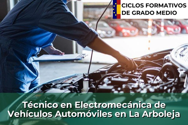 Técnico en Electromecánica de Vehículos Automóviles en La Arboleja