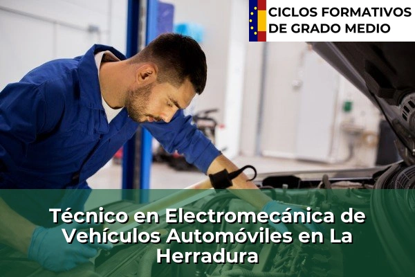 Técnico en Electromecánica de Vehículos Automóviles en La Herradura