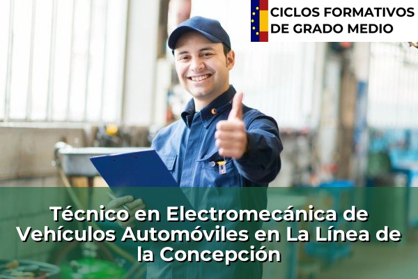 Técnico en Electromecánica de Vehículos Automóviles en La Línea de la Concepción