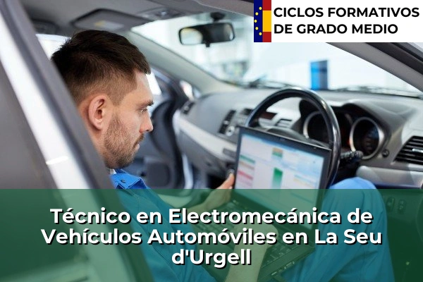 Técnico en Electromecánica de Vehículos Automóviles en La Palma de Cervelló 135 Técnico en Electromecánica de Vehículos Automóviles en La Seu d'Urgell