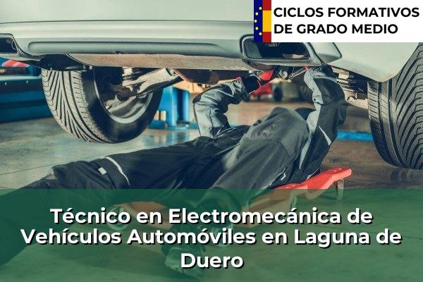 Técnico en Electromecánica de Vehículos Automóviles en Laguna de Duero