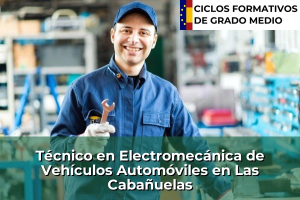 Técnico en Electromecánica de Vehículos Automóviles en Las Cabañuelas