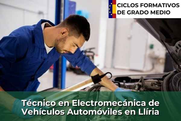 Técnico en Electromecánica de Vehículos Automóviles en Llíria