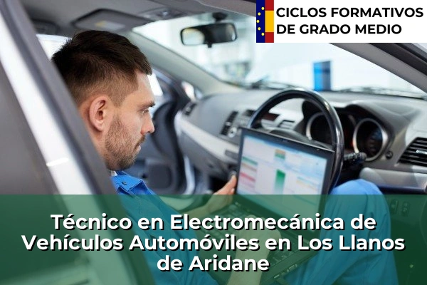 Técnico en Electromecánica de Vehículos Automóviles en Los Llanos de Aridane