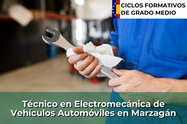 Técnico en Electromecánica de Vehículos Automóviles en Marzagán