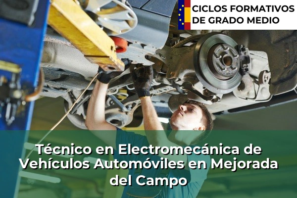 Técnico en Electromecánica de Vehículos Automóviles en Mejorada del Campo