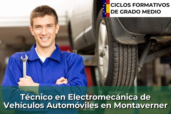 Técnico en Electromecánica de Vehículos Automóviles en Montaverner