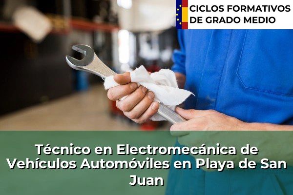 Técnico en Electromecánica de Vehículos Automóviles en Playa de San Juan