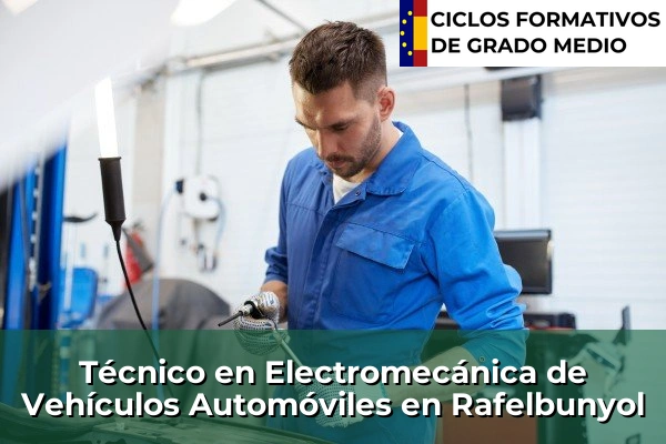 Técnico en Electromecánica de Vehículos Automóviles en Rafelbunyol