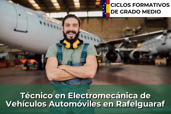Técnico en Electromecánica de Vehículos Automóviles en Rafelguaraf