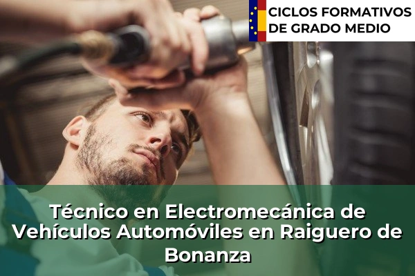 Técnico en Electromecánica de Vehículos Automóviles en Raiguero de Bonanza