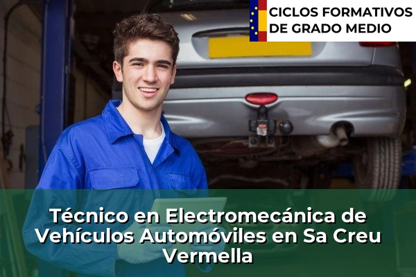 Técnico en Electromecánica de Vehículos Automóviles en Islas Baleares 42 Técnico en Electromecánica de Vehículos Automóviles en Sa Creu Vermella