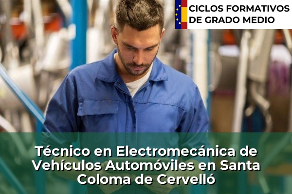Técnico en Electromecánica de Vehículos Automóviles en La Palma de Cervelló 221 Técnico en Electromecánica de Vehículos Automóviles en Santa Coloma de Cervelló