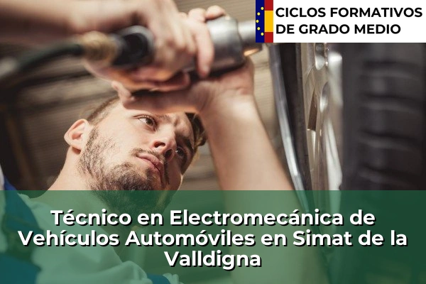 Técnico en Electromecánica de Vehículos Automóviles en Simat de la Valldigna