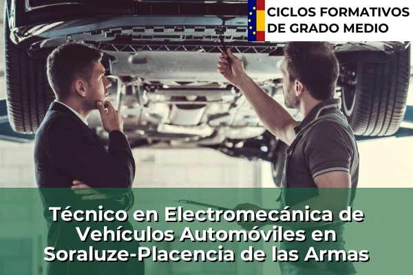 Técnico en Electromecánica de Vehículos Automóviles en Soraluze-Placencia de las Armas