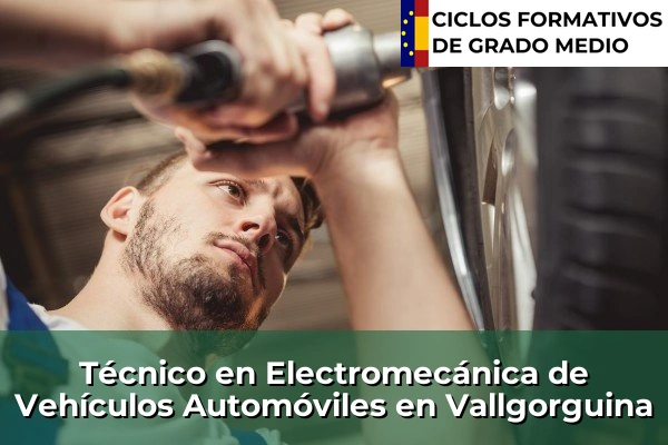 Técnico en Electromecánica de Vehículos Automóviles en Vallgorguina