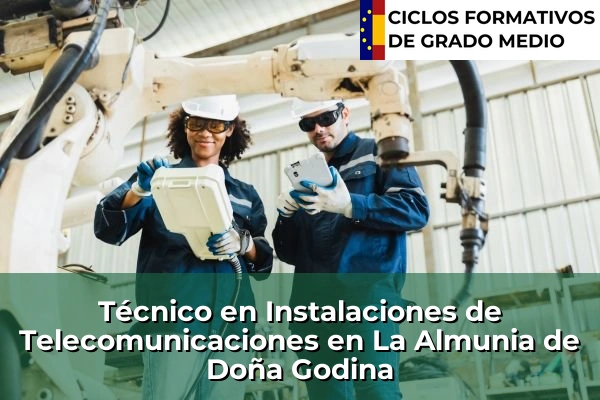 Técnico en Instalaciones de Telecomunicaciones en La Almunia de Doña Godina