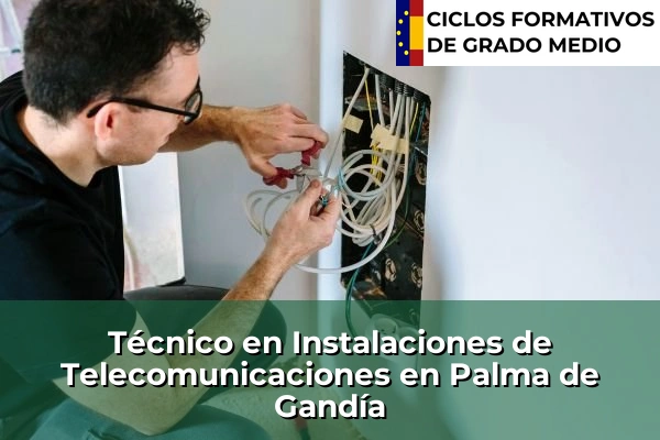 Técnico en Instalaciones de Telecomunicaciones en Comunidad Valenciana 226 Técnico en Instalaciones de Telecomunicaciones en Palma de Gandía