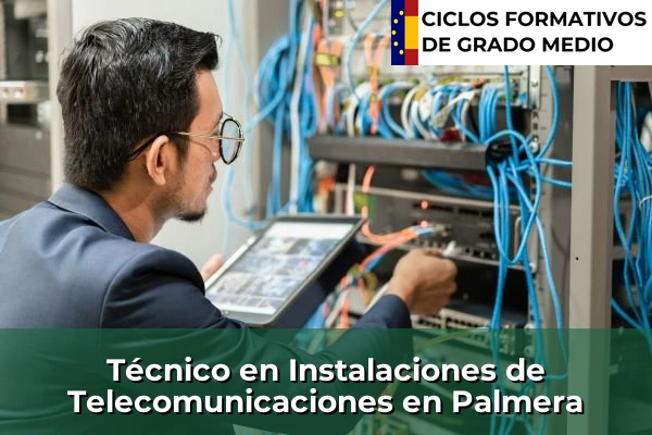Técnico en Instalaciones de Telecomunicaciones en Comunidad Valenciana 227 Técnico en Instalaciones de Telecomunicaciones en Palmera